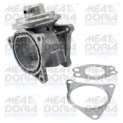 EGR Valve